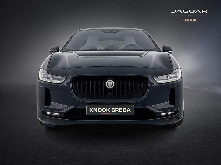 Jaguar Jaguar