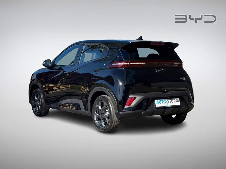 BYD