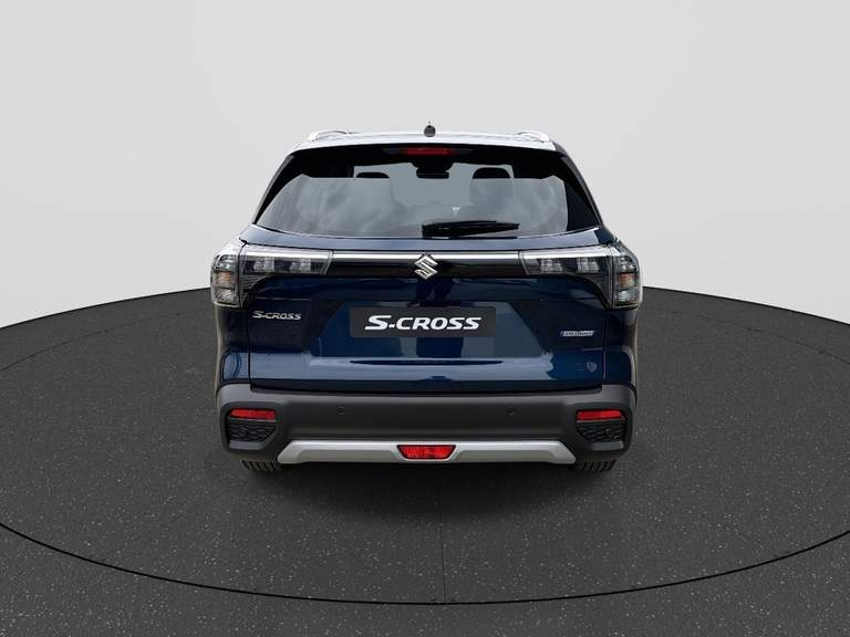 Suzuki Suzuki