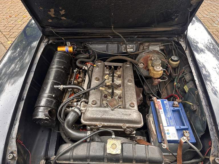 Alfa Romeo Alfa Romeo