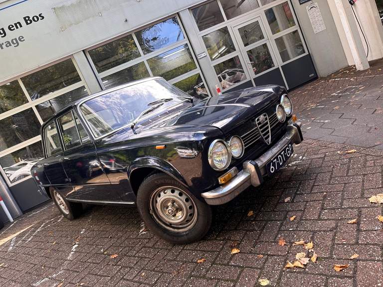 Alfa Romeo Alfa Romeo