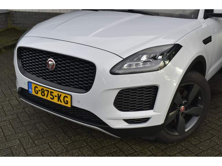 Jaguar Jaguar