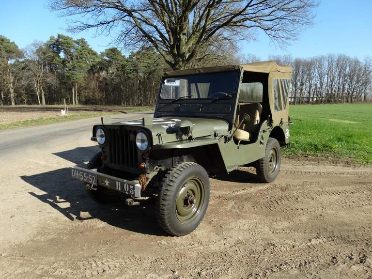 Willys