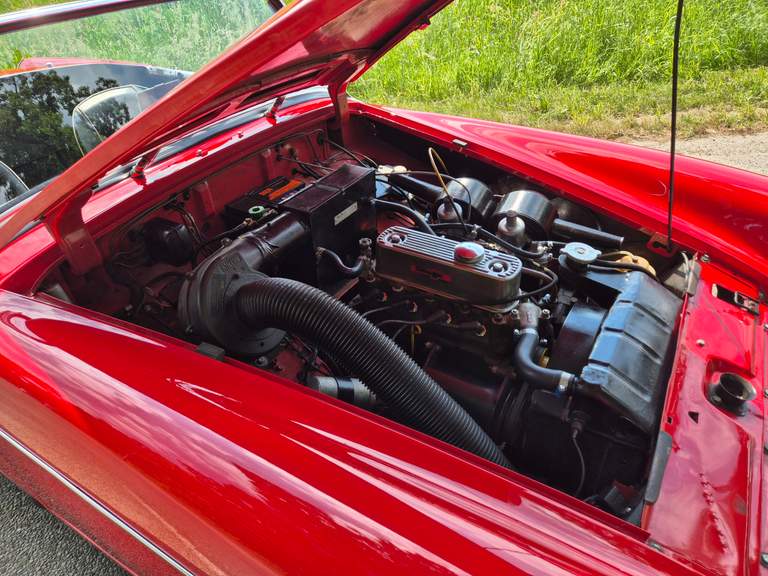 MG