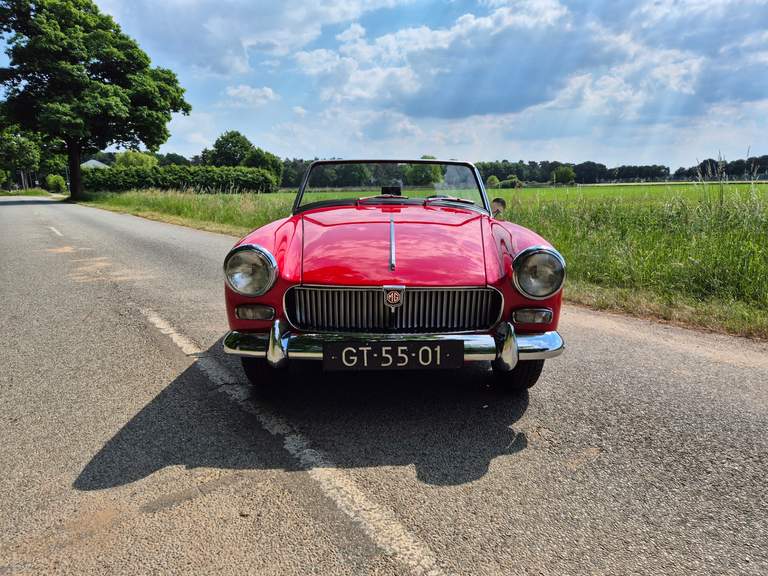 MG