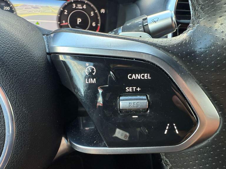 Jaguar Jaguar