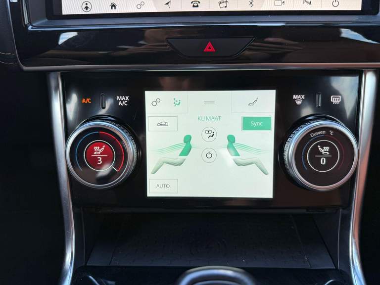 Jaguar Jaguar