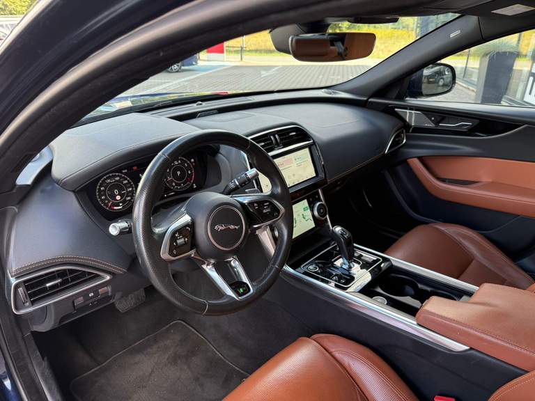 Jaguar Jaguar