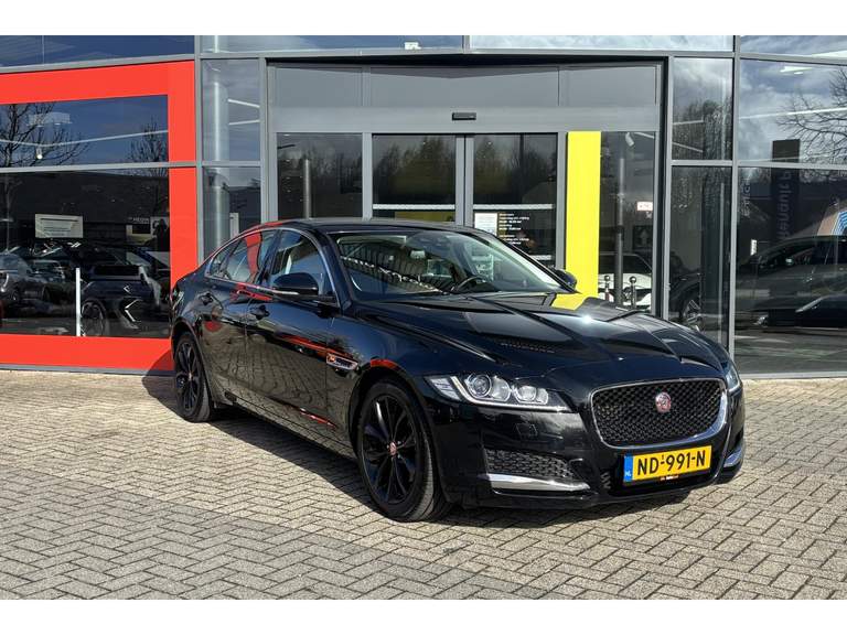 Jaguar