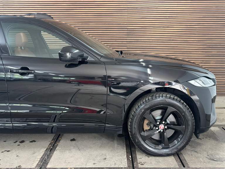 Jaguar