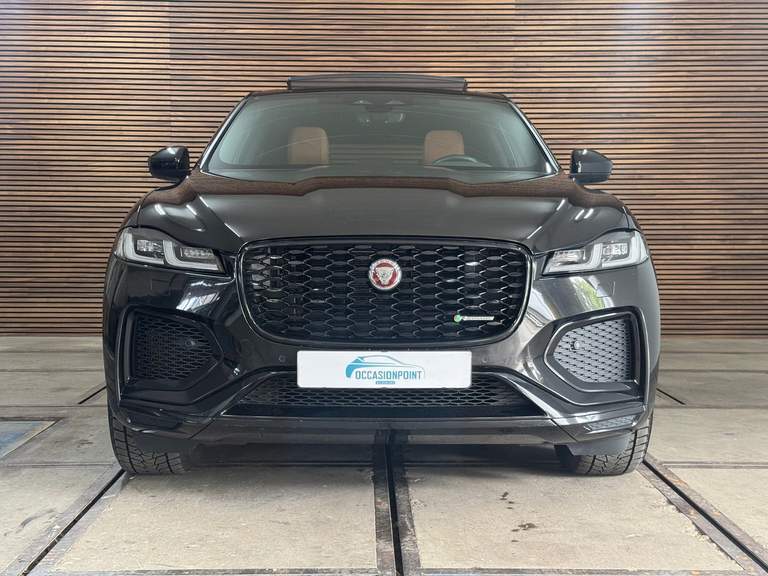 Jaguar
