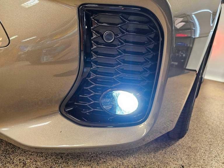 Suzuki Suzuki