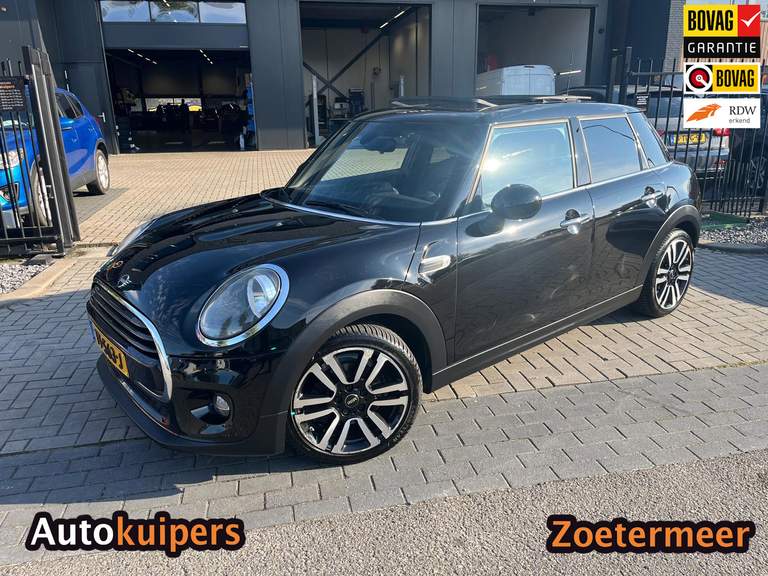 MINI