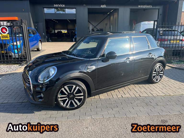 MINI