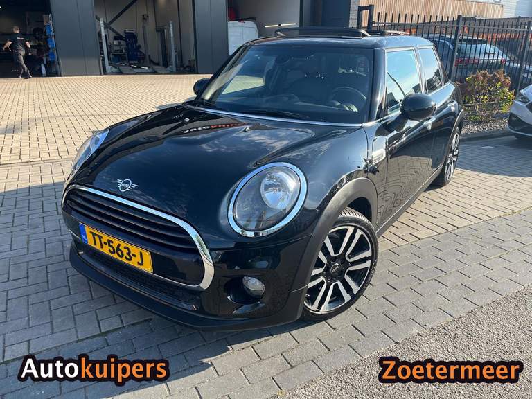 MINI