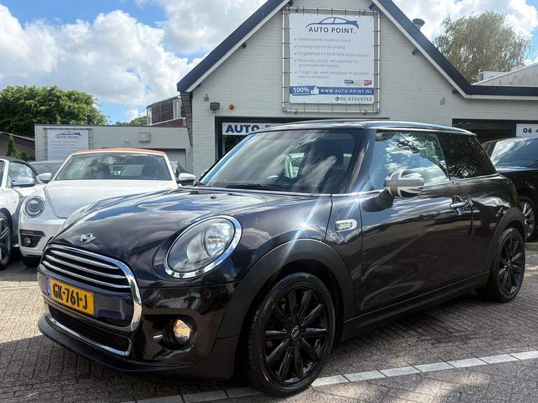 MINI