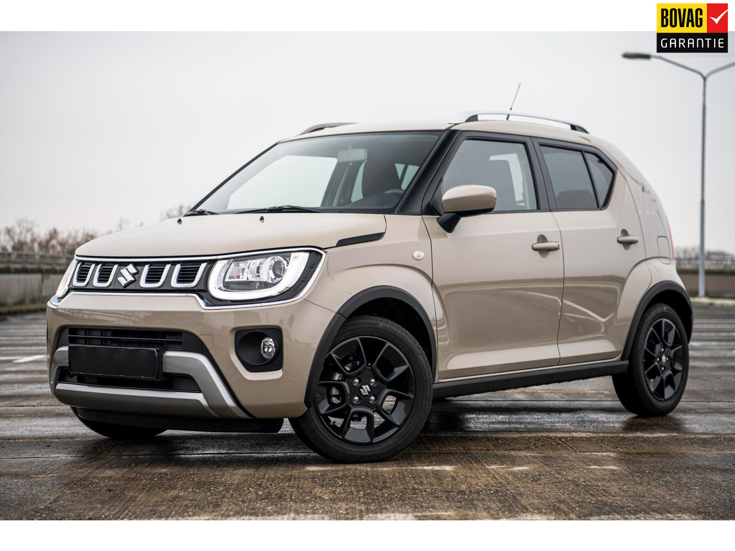 Suzuki