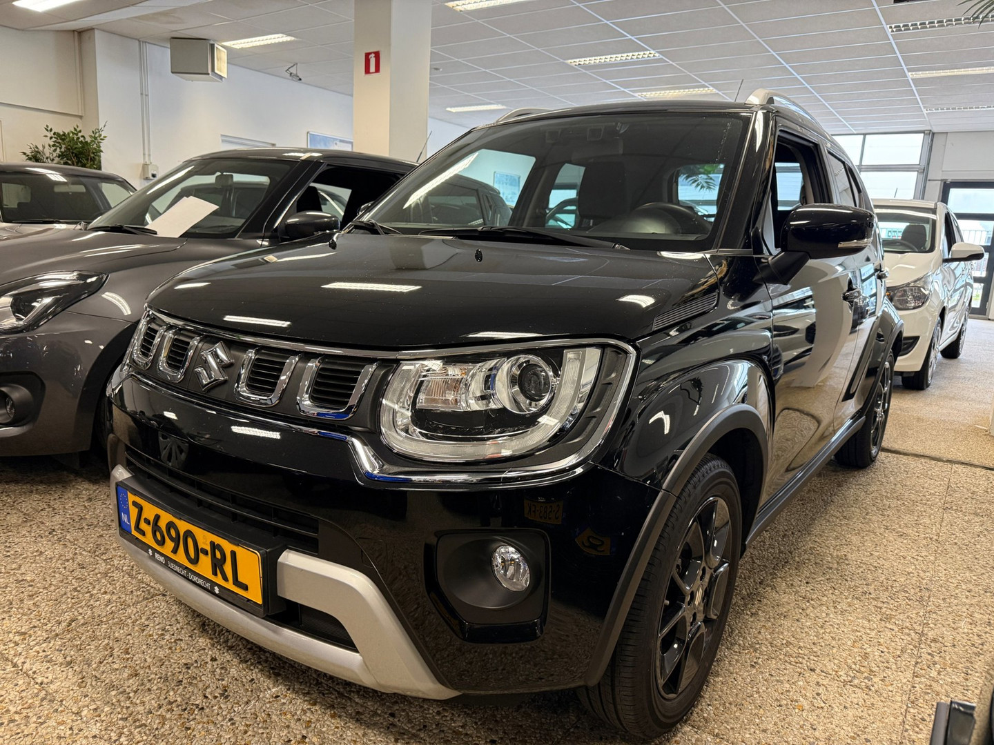 Suzuki