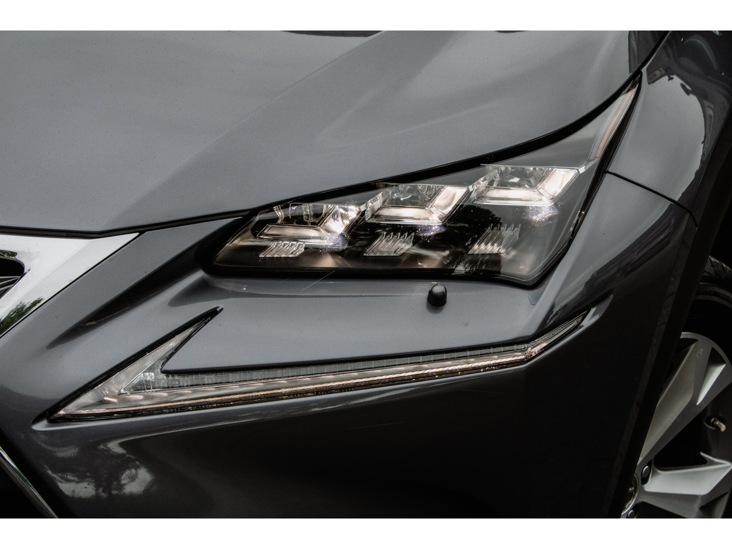 Lexus Lexus