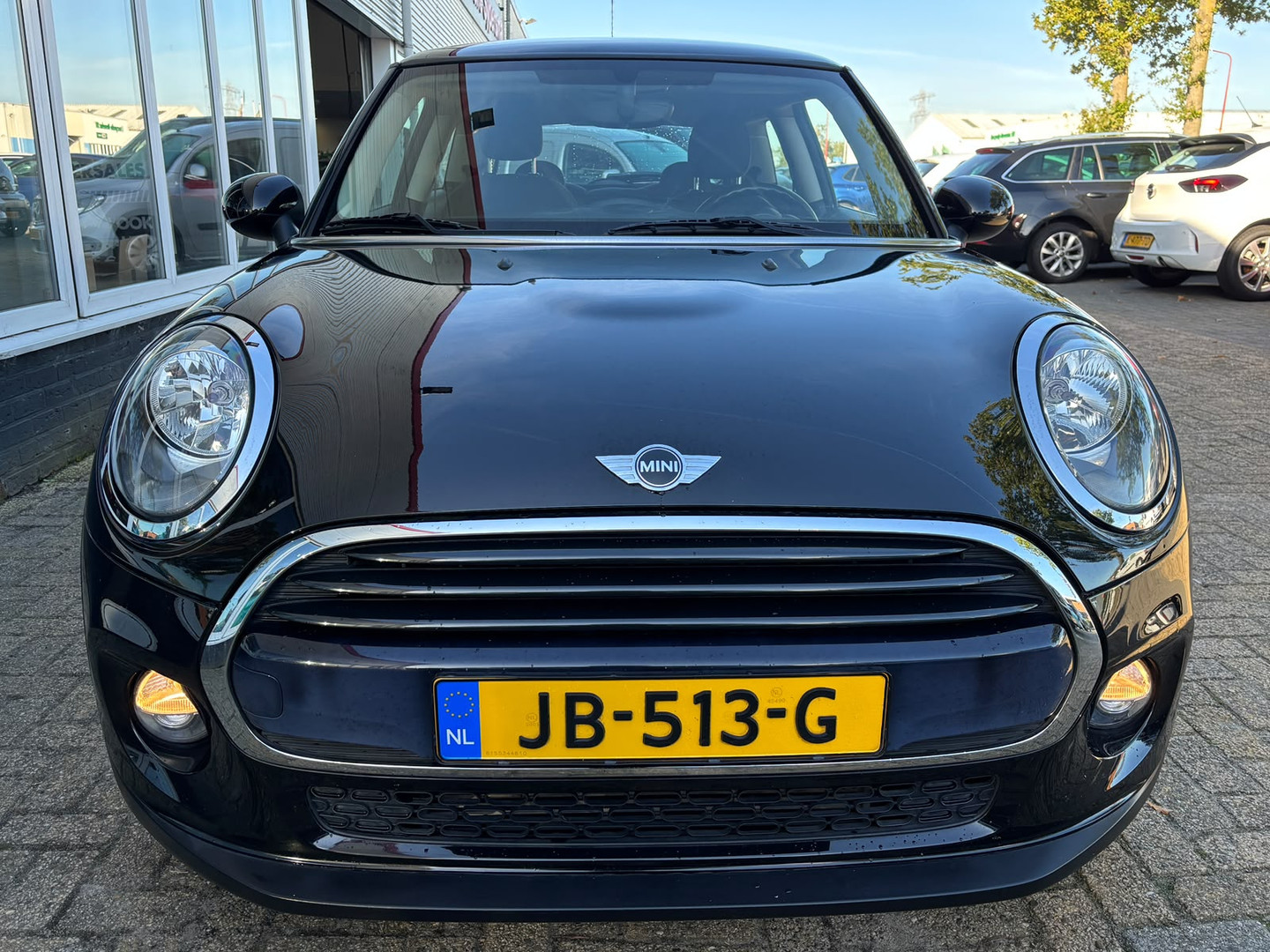 MINI