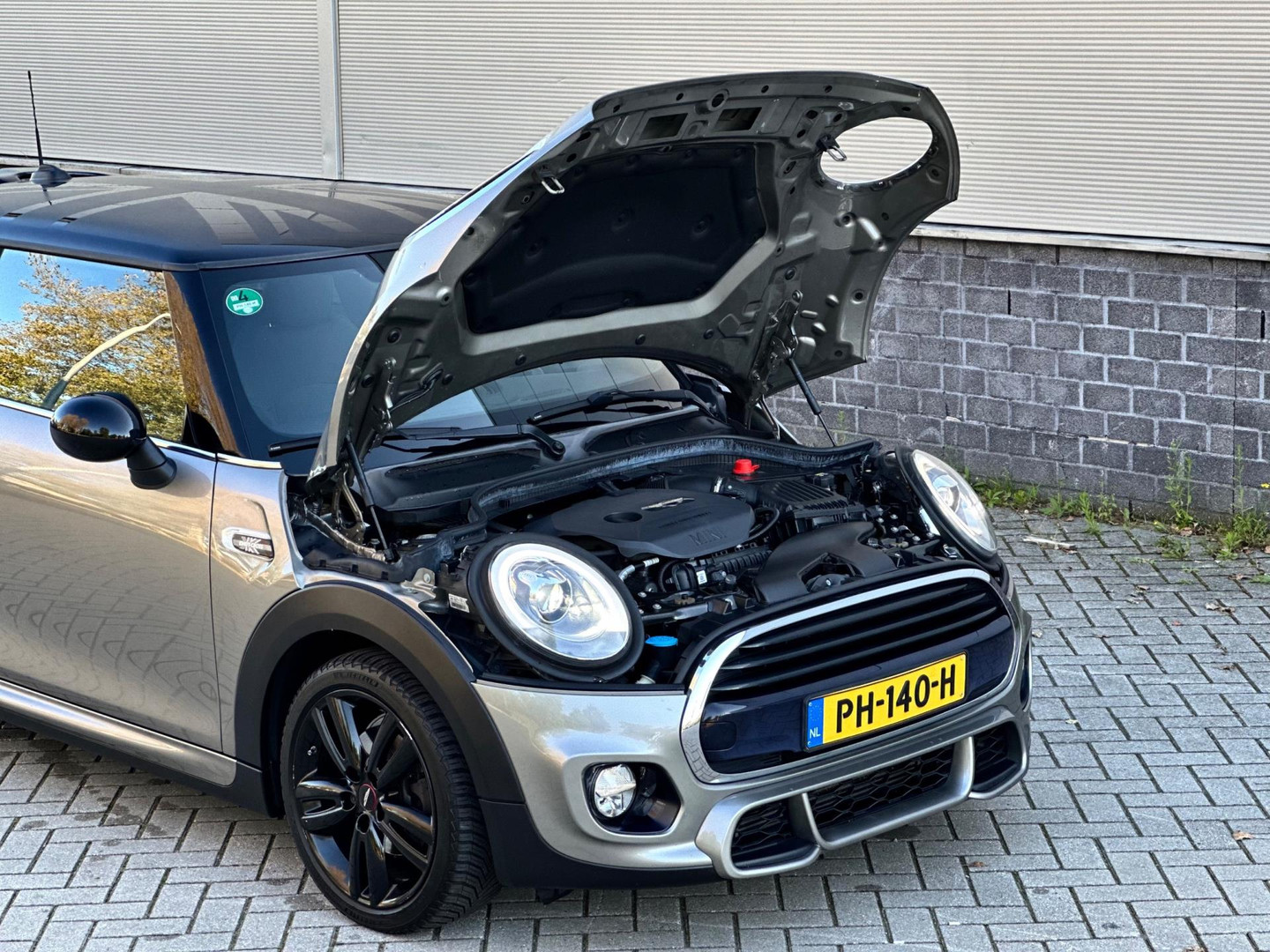 MINI