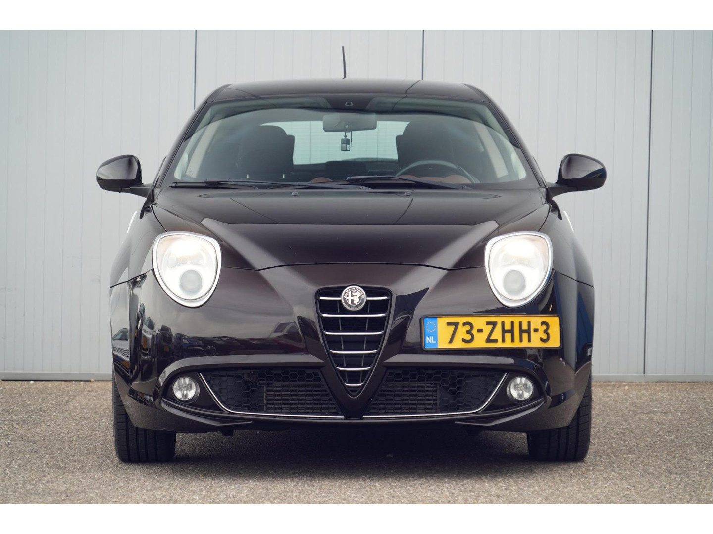 Alfa Romeo Alfa Romeo