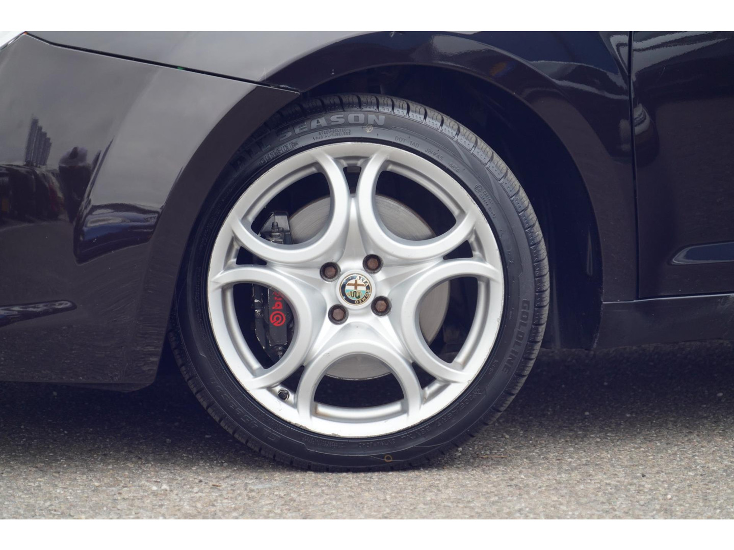 Alfa Romeo Alfa Romeo