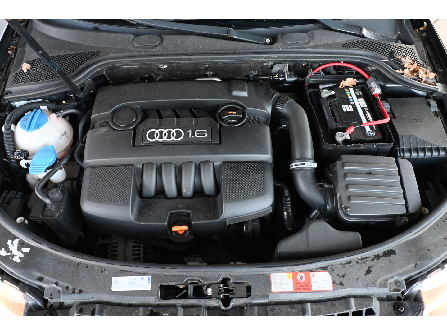 Audi