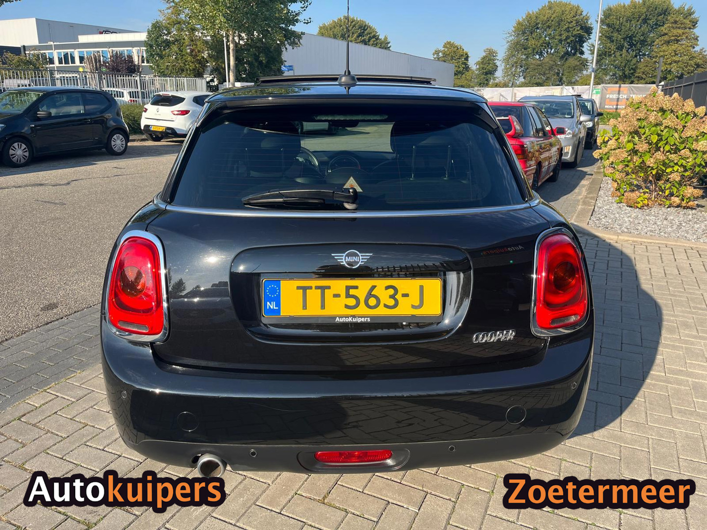 MINI