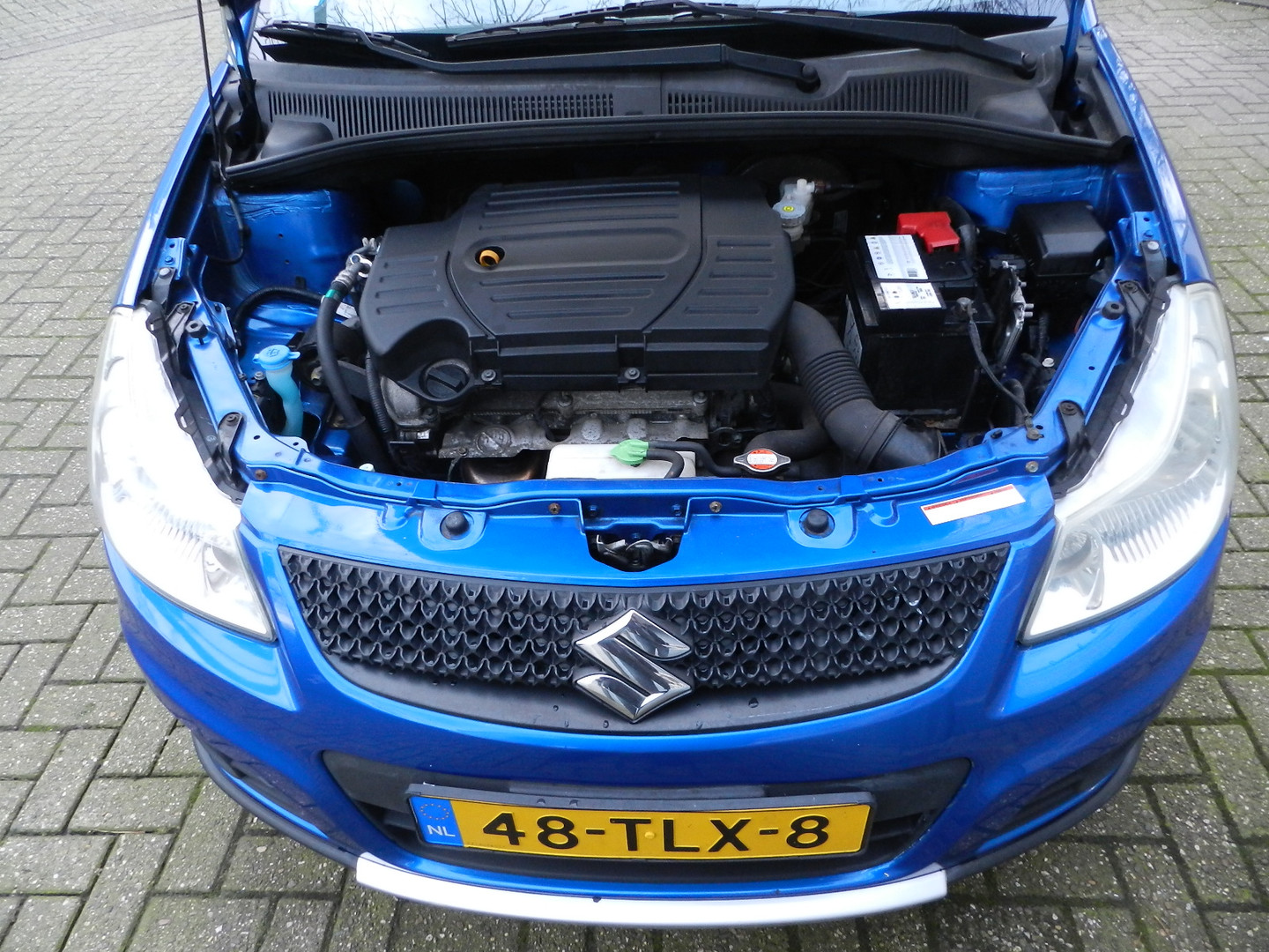 Suzuki