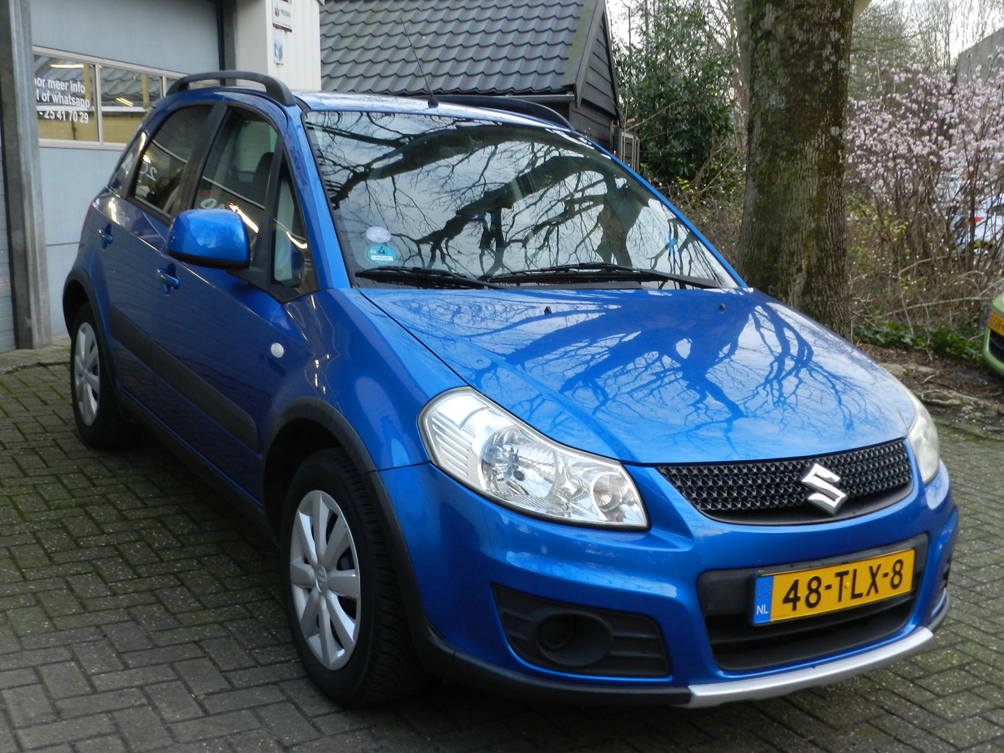 Suzuki
