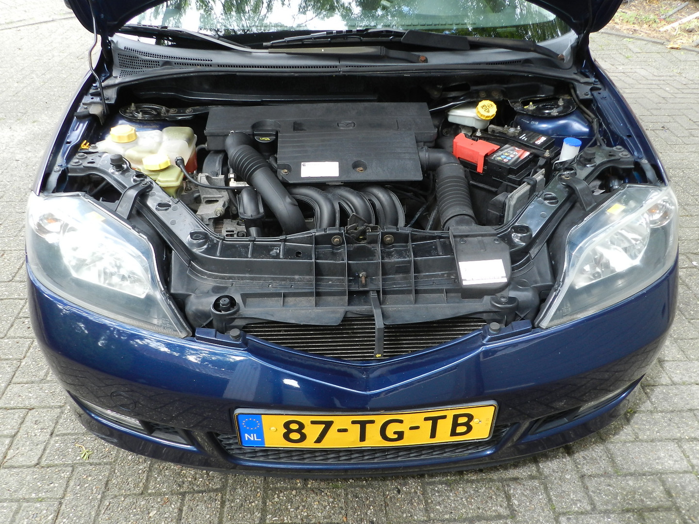 Mazda