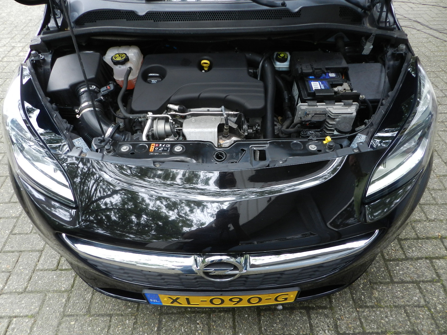 Opel