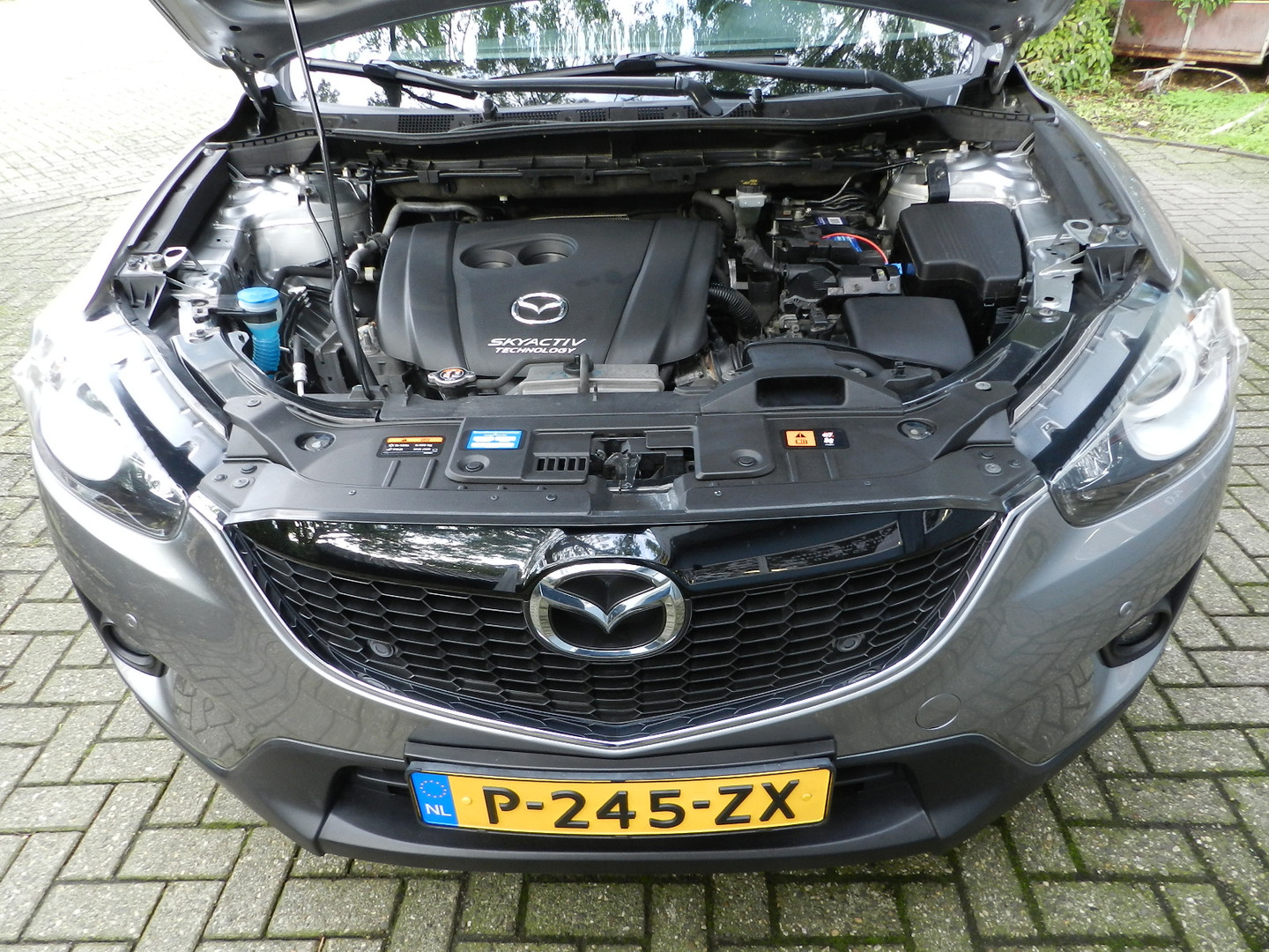 Mazda