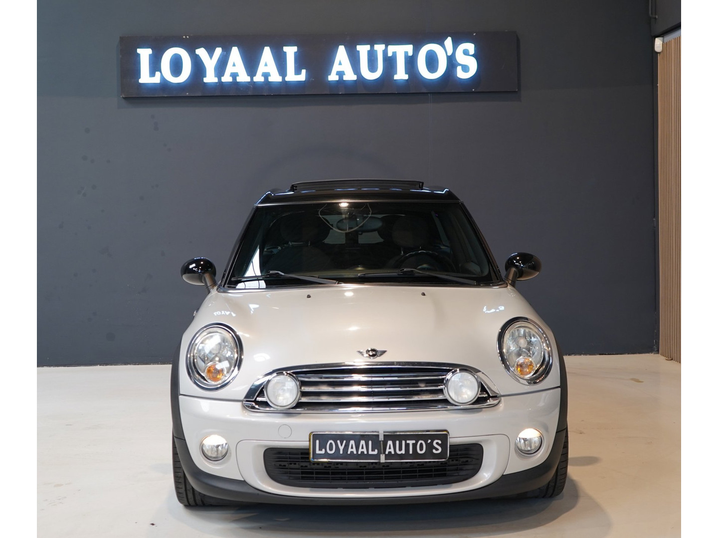 MINI MINI