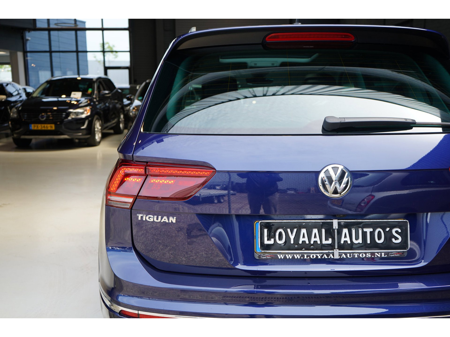 Volkswagen Volkswagen