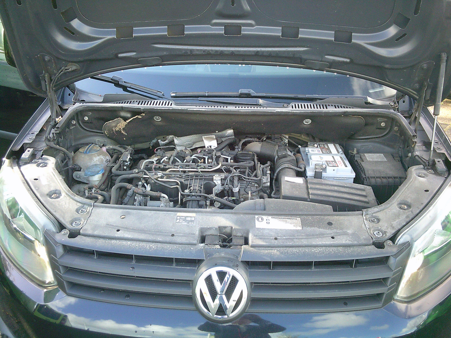 Volkswagen