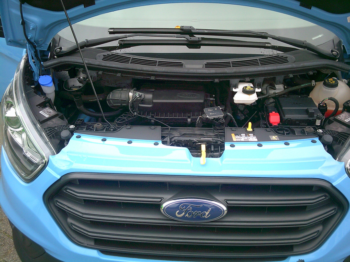 Ford